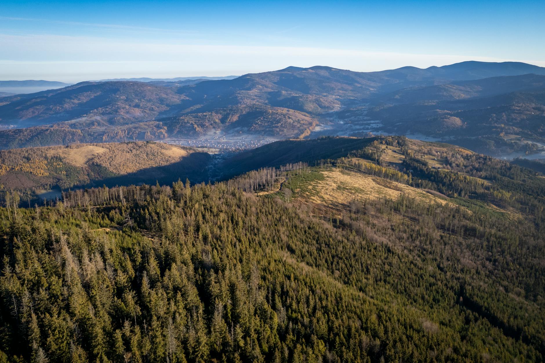 Widok na rynek w Suchej Beskidzkiej z widocznym zamkiem w tle